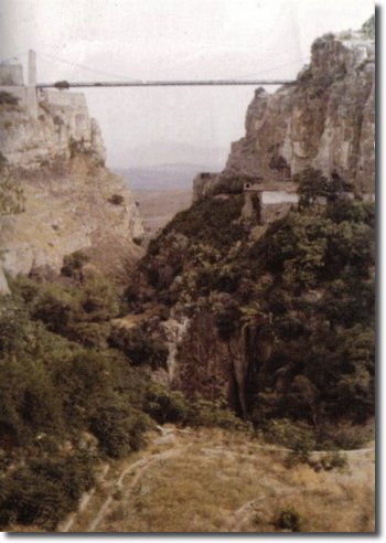 Paysage du Constantinois